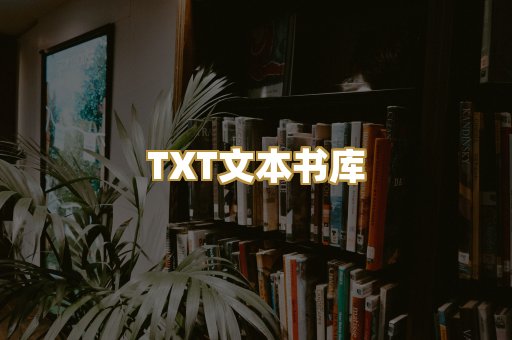 TXT文本书库